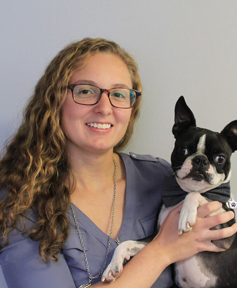 html5 bootstrap template by colorlib.com